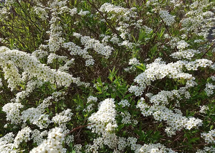 Source D'arimont Hébergement de vacances *